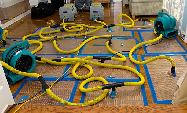 Professional Flood Damage Restoration technician working in Roslyn, WA